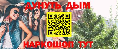 шишки Ставрополь