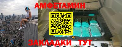шишки Ставрополь
