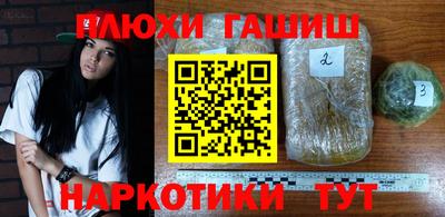 шишки Ставрополь