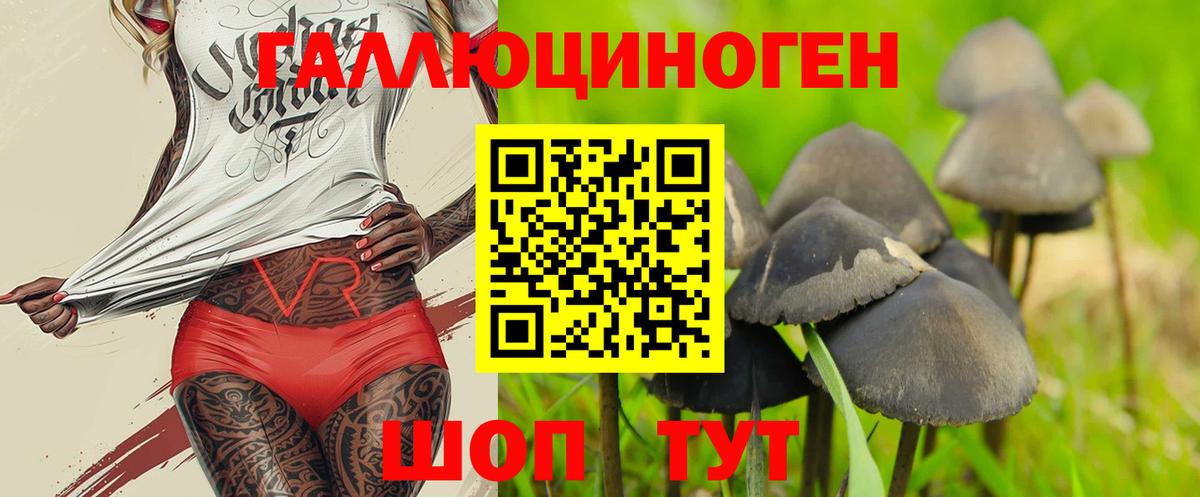 Галлюциногенные грибы мицелий  Вход с VPN  Печора  Галлюциногенные грибы Psilocybe 